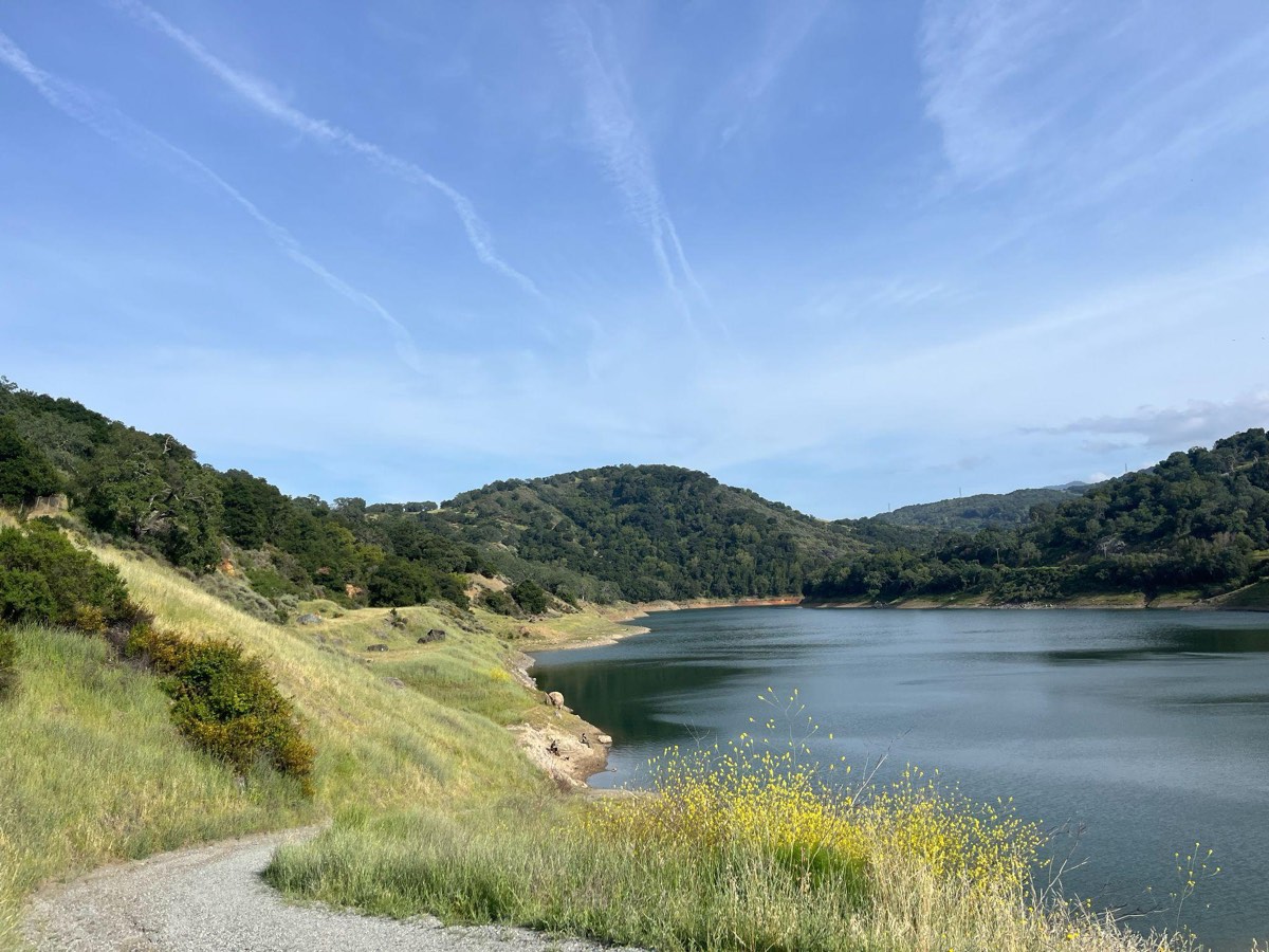 Meadows at Almaden Quicksilver County Park