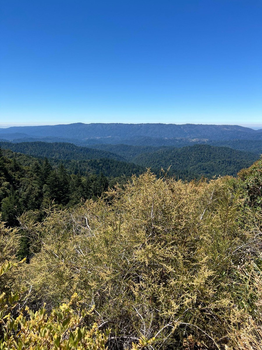 Rock formations at Castle Rock State Park