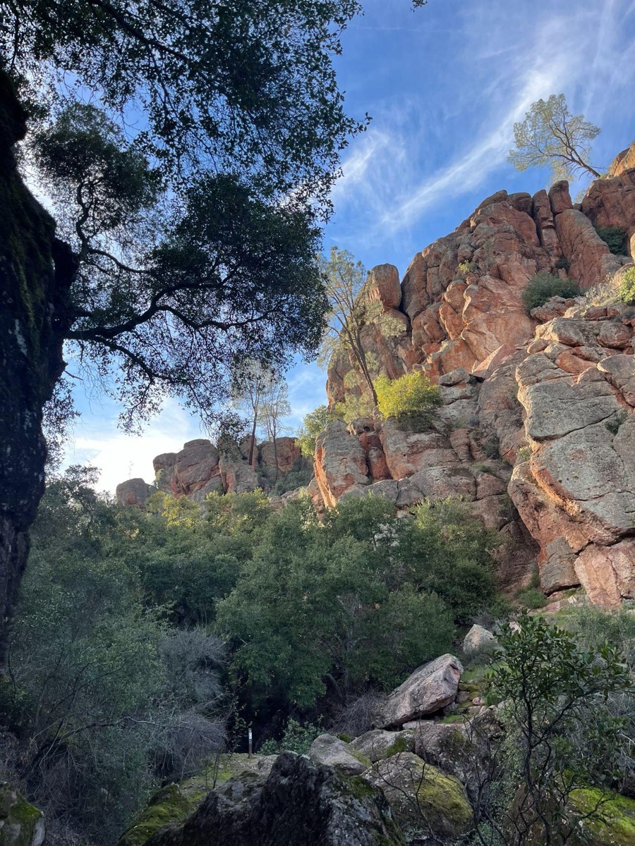 Rock formations at Pinnacles National Park