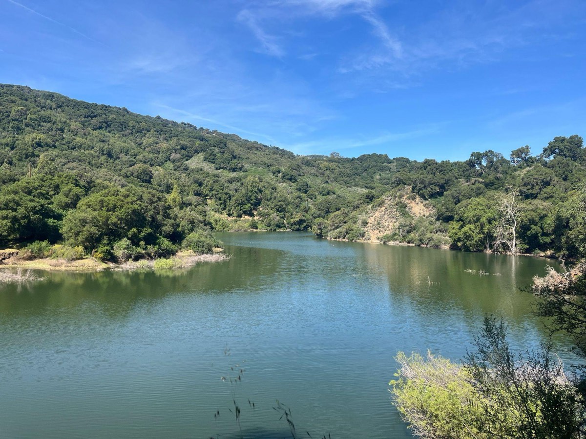 Stevens Creek Park