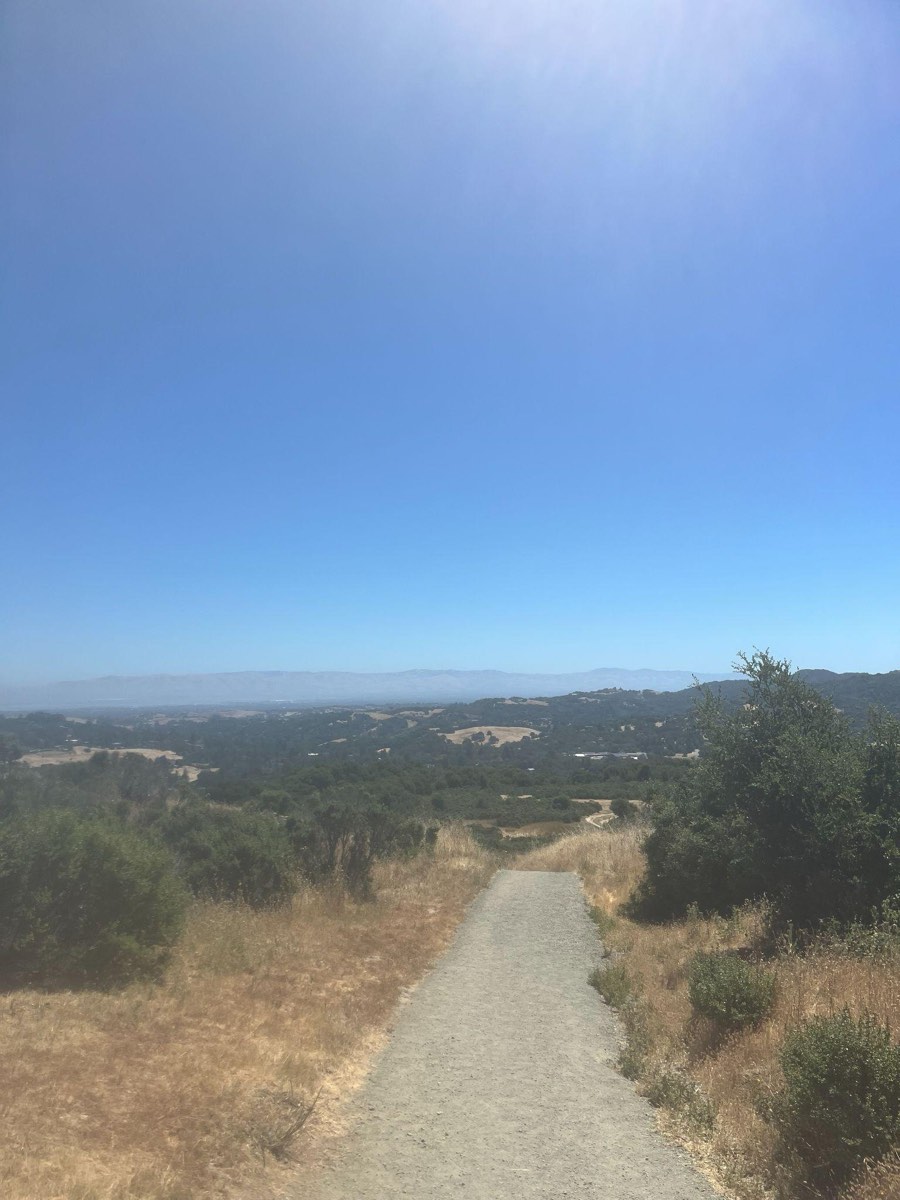 Windy Hill Preserve